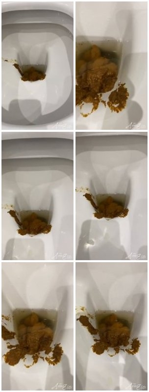 A big pile of shit in the toilet. P1 [HD / 2024]