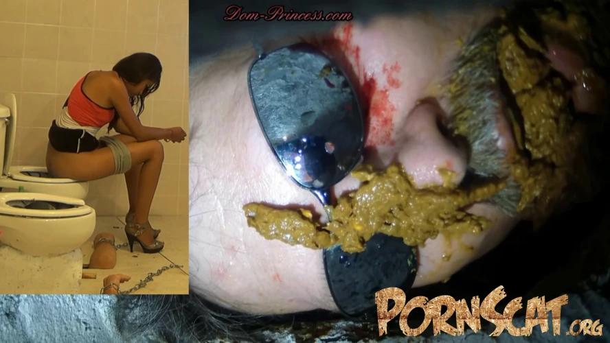 Scatmania Men Trapped In Toilets Get Used - Now You're Officially A Toilet [UltraHD/4K / 2025]