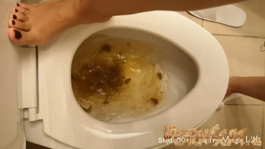 Scat Verbal Humiliation The Toilet is Сlogged P1 [HD / 2025]