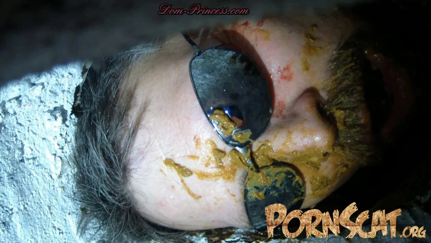 Scatmania Now You Are Officially A Toilet Part 8 Andrea Hd [HD / 2025]