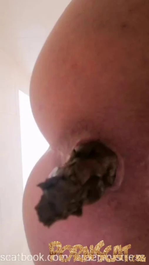 Lie down and open your disgusting mouth pig P1 [SD / 2025]