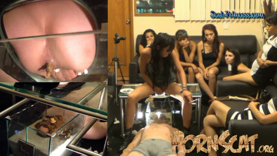 Scatmania Solid Rock Combination Please Stop Aaah Heeelp Part 07 with Alexandra [FullHD / 2025]