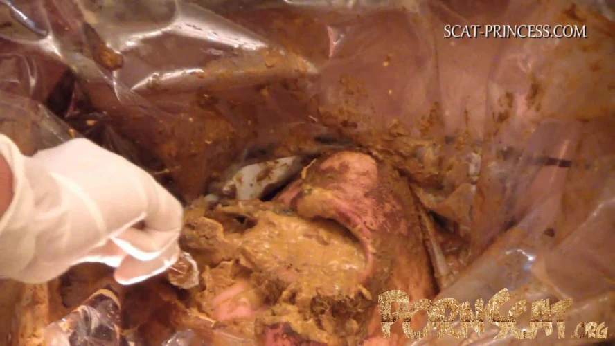 Scatmania Underground Toilet Slave Part 5 Sc M St [HD / 2025]