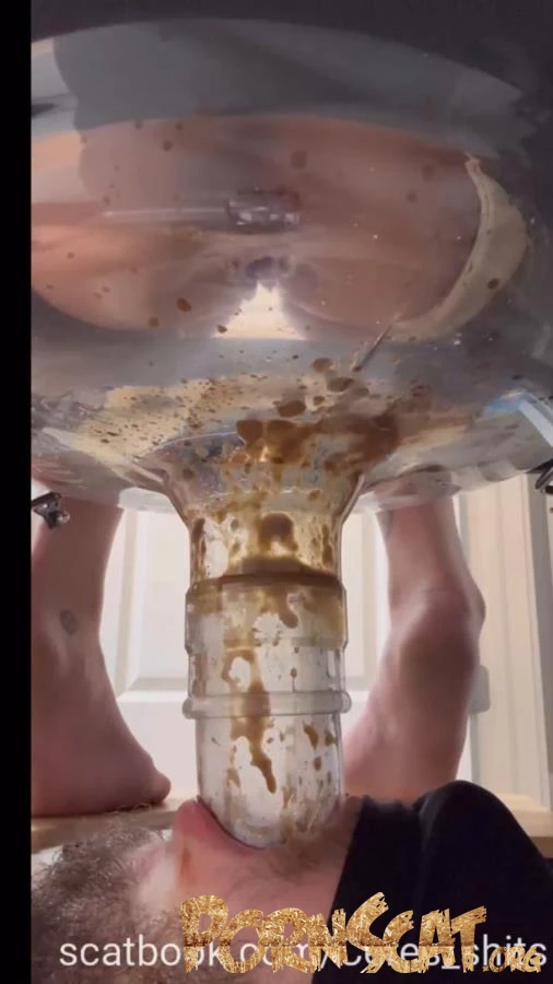 A Day of Shitting Down My Toilet's Throat P1 [SD / 2025]