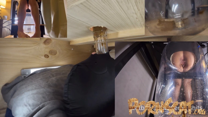 The Ultimate Human Toilet Setup Configuration » Mixfemdomcc - Latest Femdom Porn for Online Streaming with Goddess Ceres [FullHD / 2025]