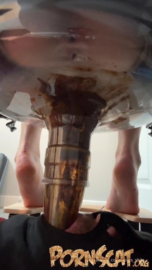 Daily Toilet Torture » Mixfemdomcc - Latest Femdom Porn for Online Streaming with Goddess Ceres [SD / 2025]