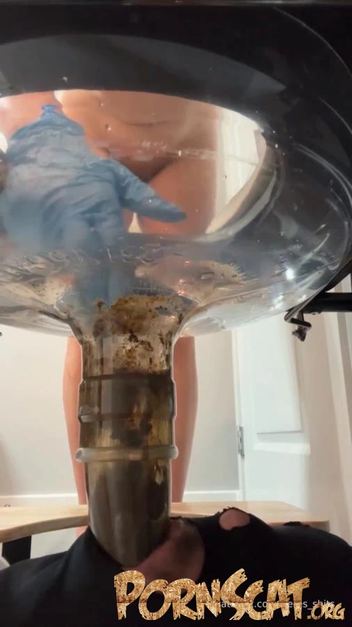 24 Minutes of Daily Toilet Slave Destruction P1 [SD / 2026]