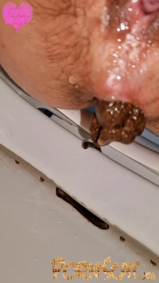 Four unflushable logs [SD / 2026]