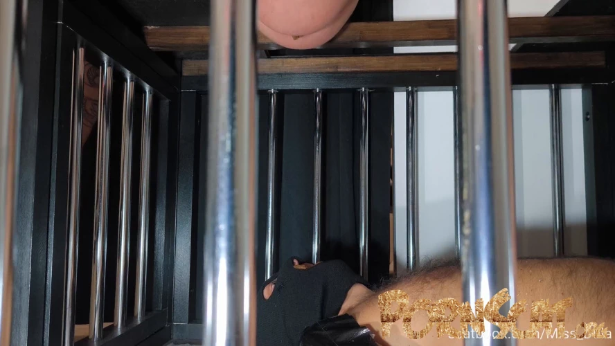 My Poop In His Mouth » Mixfemdomcc - Latest Femdom Porn for Online Streaming with MISS DULA [FullHD / 2026]