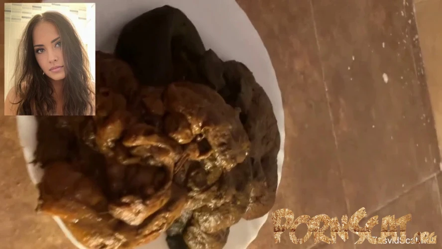 A huge pile of shit goes into the toilet. P1 [HD / 2026]